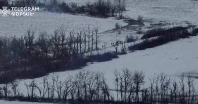 Артиллеристы ВСУ с пограничниками разнесли вражескую пехоту в Луганской области (видео) - focus.ua - Россия - Украина - Луганская обл.