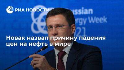 Александр Новак - Вице-премьер Новак объяснил падение мировых цен на нефть банковским кризисом в США - smartmoney.one - Россия - США