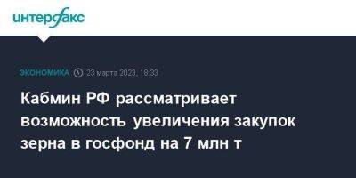 Викторий Абрамченко - Кабмин РФ рассматривает возможность увеличения закупок зерна в госфонд на 7 млн т - smartmoney.one - Москва - Россия