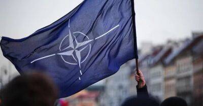 Саули Ниинисте - В Турции одобрили законопроект о вступлении Финляндии в НАТО, – СМИ - focus.ua - Украина - Турция - Швеция - Финляндия - Анкара - Хельсинки