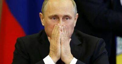 Дональд Трамп - Владимир Путин - Тимоти Снайдер - У Путина снова проблемы: РФ хотят выгнать из ООН, а его самого — обвинить в геноциде - focus.ua - Россия - Украина - Гаага
