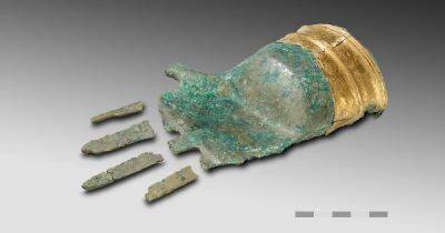Древняя бронзовая рука возрастом 3500 лет до сих пор водит археологов вокруг пальца - focus.ua - Украина - Швейцария - Берн - Находка - Европа