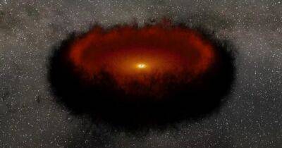 Вселенная - Ученые сделали неожиданное открытие: черные дыры окружает таинственная невидимая материя - focus.ua - Украина - Гонконг