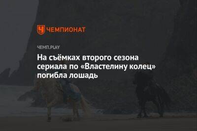 На съёмках второго сезона сериала по «Властелину колец» погибла лошадь - championat.com - США - Англия - Скончался