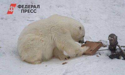 Новосибирский зоопарк поднимет плату за вход с 1 апреля - smartmoney.one - Новосибирск - Новосибирская обл.