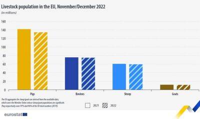 В ЕС уменьшается поголовье сельскохозяйственных животных - produkt.by - Италия - Белоруссия - Германия - Франция - Швеция - Испания - Мальта - Болгария - Дания - Греция