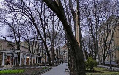 В Одессе ветер "наломал дров": повреждены и повалены более 100 деревьев - korrespondent.net - Украина - Одесса - Новости Одессы