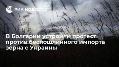 Болгарские производители зерна устроили протест против беспошлинного импорта с Украины - smartmoney.one - Украина - Румыния - Болгария