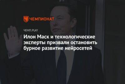 Стив Возняк - Илон Маск и технологические эксперты призвали остановить бурное развитие нейросетей - championat.com