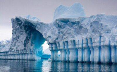 20 невероятных фактов об Антарктиде, которые знают немногие - fokus-vnimaniya.com - США - Австралия - Германия - Антарктида