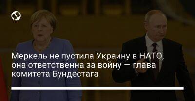Владимир Путин - Ангела Меркель - Николя Саркози - Меркель не пустила Украину в НАТО, она ответственна за войну — глава комитета Бундестага - liga.net - Россия - Украина - Германия - Франция