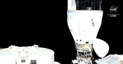 Илон Маск - SpaceX доставила новый экипаж на МКС: снова не обошлось без проблем (фото) - focus.ua - Россия - Украина - Киев - Эмираты