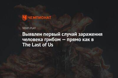 Выявлен первый случай заражения человека грибом — прямо как в The Last of Us - championat.com - Индия