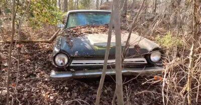 Ford - В старом саду обнаружили заброшенную коллекцию раритетных ретро-авто (фото, видео) - focus.ua - США - Украина