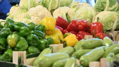 Цены на овощи и ягоды в Хатлоне подскочили в разы - dialog.tj - Хатлонской обл.