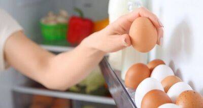 Почему не стоит хранить яйца в дверце холодильника - cxid.info - Англия