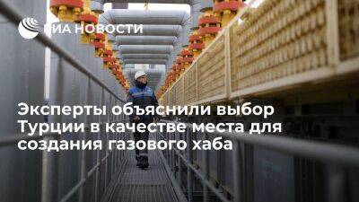 Владимир Путин - Эксперты сочли Турцию удачным местом для газового хаба из-за расположения и инфраструктуры - smartmoney.one - Россия - Турция - Иран - Болгария - Азербайджан - Греция - Европа