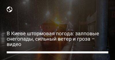 В Киеве штормовая погода: залповые снегопады, сильный ветер и гроза – видео - liga.net - Украина - Киев