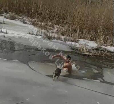 Под Харьковом мужчина прыгнул в ледяную воду и спас собаку (видео) - objectiv.tv - Харьков