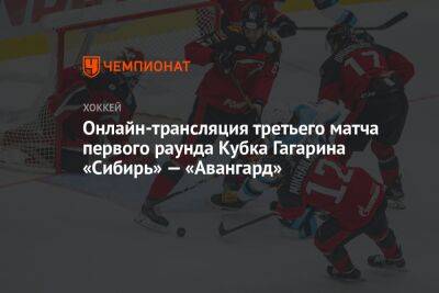 Онлайн-трансляция третьего матча первого раунда Кубка Гагарина «Сибирь» — «Авангард» - championat.com - Новосибирск - Омск - Новосибирская обл.