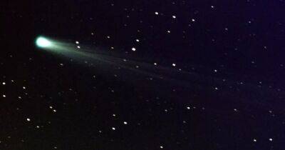 Прилетела впервые за 80 тысяч лет. Недавно открытая комета может затмить собой звезды на небе - focus.ua - Украина - Юар