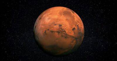 Почему обнаружение жизни на Марсе станет худшей новостью для человечества: что говорят ученые - focus.ua - Украина - Англия