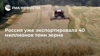 Минсельхоз: Россия уже экспортировала 40 миллионов тонн зерна с 1 июля 2022 года - smartmoney.one - Россия - респ. Татарстан