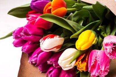 Цены на цветы 8 марта - в столице заметили огромные очереди - apostrophe.ua - Украина