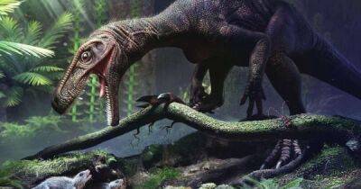 Эволюционировали трижды. Исследователи обнаружили структуру костей динозавров, которая позволяла им быть очень большими - focus.ua - Украина - Бразилия
