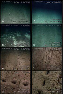 На глубине более 2 км в Атлантическом океане нашли ровные ряды отверстий - obzor.lt - Находка