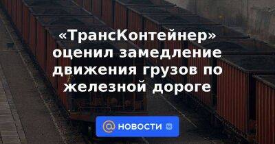 Сергей Шишкарев - «ТрансКонтейнер» оценил замедление движения грузов по железной дороге - smartmoney.one - Россия