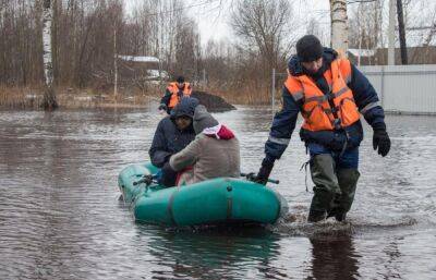 Уровень воды в реке Западная Двина превысил опасную отметку на 40 см - afanasy.biz - Россия - Тверская обл.