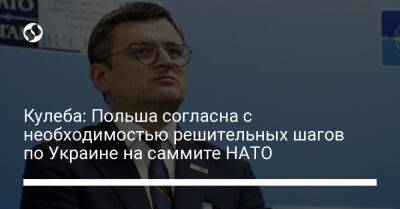 Збигнев Рау - Дмитрий Кулеба - Кулеба: Польша согласна с необходимостью решительных шагов по Украине на саммите НАТО - liga.net - Украина - Польша - Вильнюс