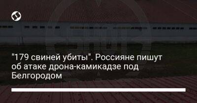 "179 свиней убиты". Россияне пишут об атаке дрона-камикадзе под Белгородом - liga.net - Россия - Украина - Крым - Белгородская обл. - Белгород