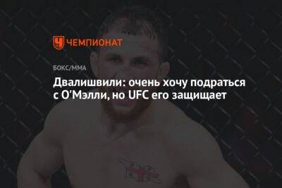Петр Ян - Шон Омэлли - Мераб Двалишвили - Двалишвили: очень хочу подраться с О'Мэлли, но UFC его защищает - championat.com - Россия - Англия - Грузия