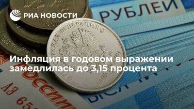 Владимир Путин - Эльвира Набиуллина - Минэкономразвития: инфляция в годовом выражении замедлилась до 3,15 процента на 10 апреля - smartmoney.one - Россия