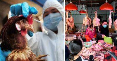 Птичий грипп – в Китае зафиксировали первую в мире смерть человека от птичьего гриппа H3N - obozrevatel.com - Китай - Reuters
