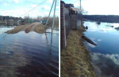 В Вышневолоцком округе затопило дорогу - afanasy.biz - городское поселение Вышневолоцкий