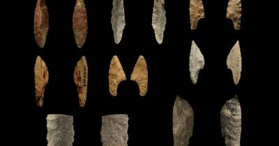 Суперклей из палеолита. Впервые древние люди использовали клейкие смеси примерно 20 тыс. лет назад - focus.ua - Украина - Франция - Испания - Мадрид - Находка