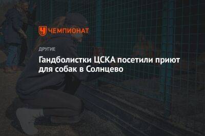 Гандболистки ЦСКА посетили приют для собак в Солнцево - championat.com - Москва