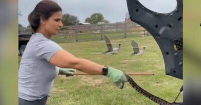 "Не пытайтесь это повторить": женщина достала огромную змею из машины дочери (видео) - focus.ua - США - Украина - Техас