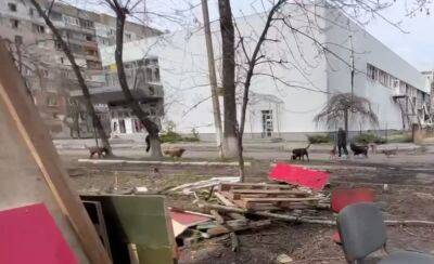 "Как в Мариуполе": в Авдеевке новая беда, выжить стало еще труднее - popcorn.politeka.net - Украина - Мариуполь