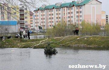 «Забалтывается виновное бездействие»: Сельчанин из-под Гомеля раскрыл причины потопа - charter97.org - Белоруссия - Гомель