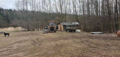 В Гродненском районе мужчина незаконно вырубал деревья - grodnonews.by - Белоруссия