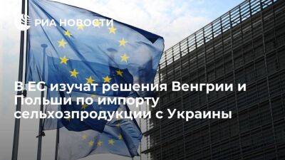 В ЕС изучат решения Венгрии и Польши о приостановке импорта сельхозпродукции с Украины - smartmoney.one - Россия - Украина - Киев - Румыния - Венгрия - Польша - Болгария - Брюссель - Ляйен - Словакия