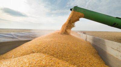 Румен Радев - Еще одна страна ЕС может запретить импорт украинского зерна - ru.slovoidilo.ua - Украина - Венгрия - Польша - Болгария