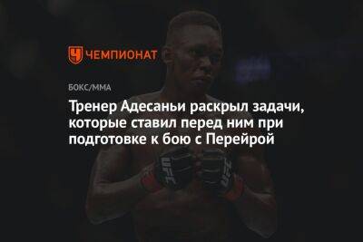 Алексей Перейрой - Тренер Адесаньи раскрыл задачи, которые ставил перед ним при подготовке к бою с Перейрой - championat.com - Бразилия