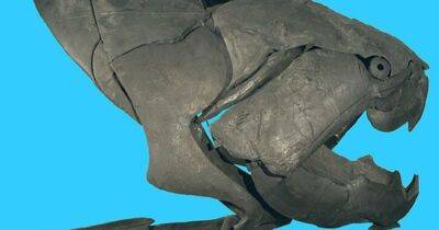 Древний подводный кошмар: ученые определили настоящие размеры "огромного плавающего рта" - focus.ua - Украина - шт. Огайо