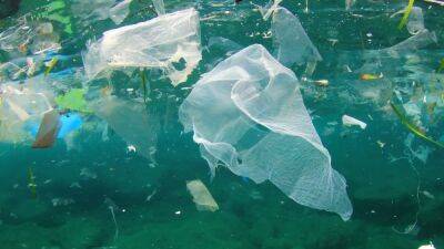 "Большое тихоокеанское мусорное пятно" обзавелось своей экосистемой - svoboda.org - шт. Калифорния - Экология