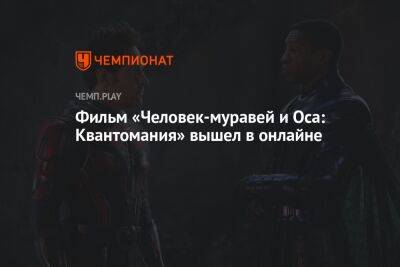 «Человек-муравей 3» вышел в онлайне - championat.com - Россия